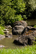 Foto: Steine im Fluss Steine im Fluss