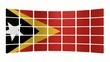 Monitor Timor Est