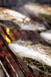 Grillfisch 02
