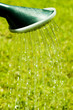 Watering garden
