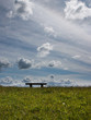 sitting under sky
