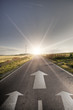 Asphalt road in country Asphalt road in country