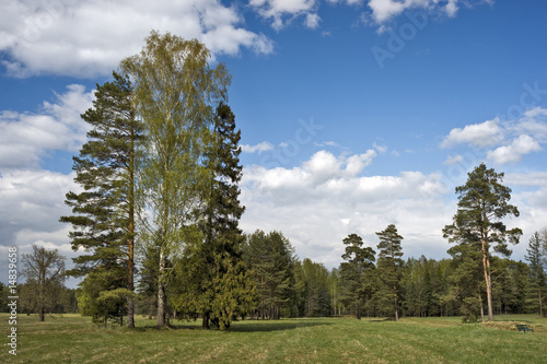 Photo: Spring nature Spring nature
