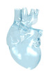 Illustration: Glass 3D front view of the human heart Glass 3D front view of the human heart