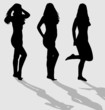 Vector silhouettes of three sexy female.