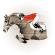 Photos : jumping horse and jockey