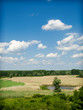 Highland Bog
