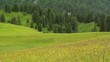 paesaggio alpino dolomitico paesaggio alpino dolomitico