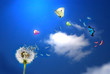 pissenlit et papillons