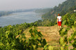 vignoble de Loire