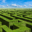 Illustration: Labyrinth Labyrinth