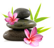 fleurs de frangipanier et galets zen