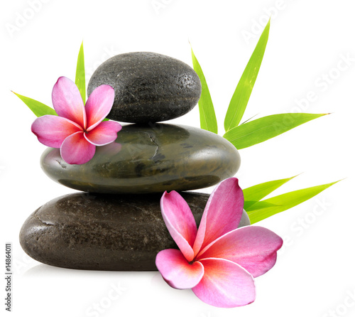 Photo: fleurs de frangipanier et galets zen fleurs de frangipanier et galets zen