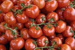 étal de tomates au marché étal de tomates au marché