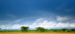 Rainbow Rainbow