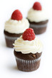 Chocolate and raspberry cupcakes