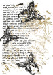 Flower butterfly writing illustration Flower butterfly writing illustration