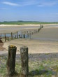 La réserve naturelle du Zwin, entre Cadzand et Knokke