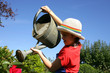 Photo: Petite fille arrosant les plantes Petite fille arrosant les plantes