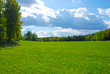 Schwedische Wiesenlandschaft