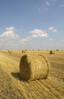 rolls of straw