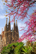 sagrada familia barcelona spain