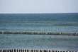 Buhnen in der Ostsee