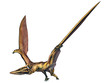 Quetzlcoatlus