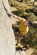 Two people Climbing on Cliff, elevated view, high angle view