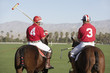 Polo Players holding polo sticks, mounted on polo ponies, back view