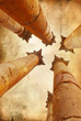columns on grunge background columns on grunge background