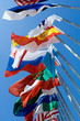 International Flags Blowing in the Wind
