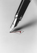 Pen Checking Box