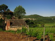 Vallée du Lot , Quercy