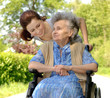 Senior woman in a wheelchair Senior woman in a wheelchair