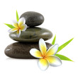 fleurs de frangipanier et galets zen