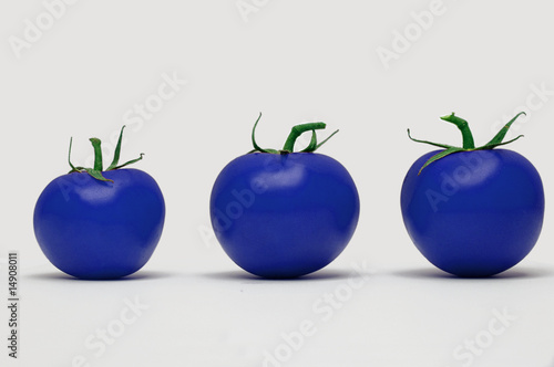 Photo: tomates ogm tomates ogm
