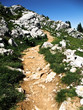 Paysage alpin (Charmant Som) Paysage alpin (Charmant Som)