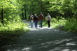 Wanderer Wanderer