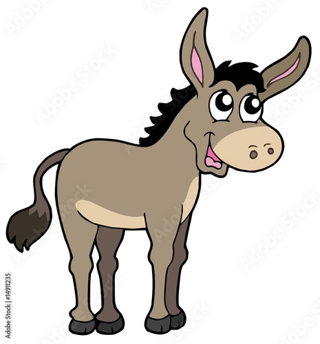 Cute donkey Cute donkey