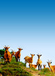 goats 2