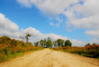 path in heather landscape