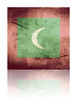 grunge flag of maledives with shadow