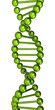 Green dna on white background (3d render)