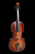 Violin isolated on black