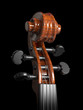 Violin scroll