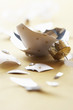 Broken Christmas ornament, close-up
