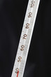 Thermometer, close-up