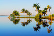 palm reflection cuba