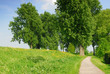 landscape in holland